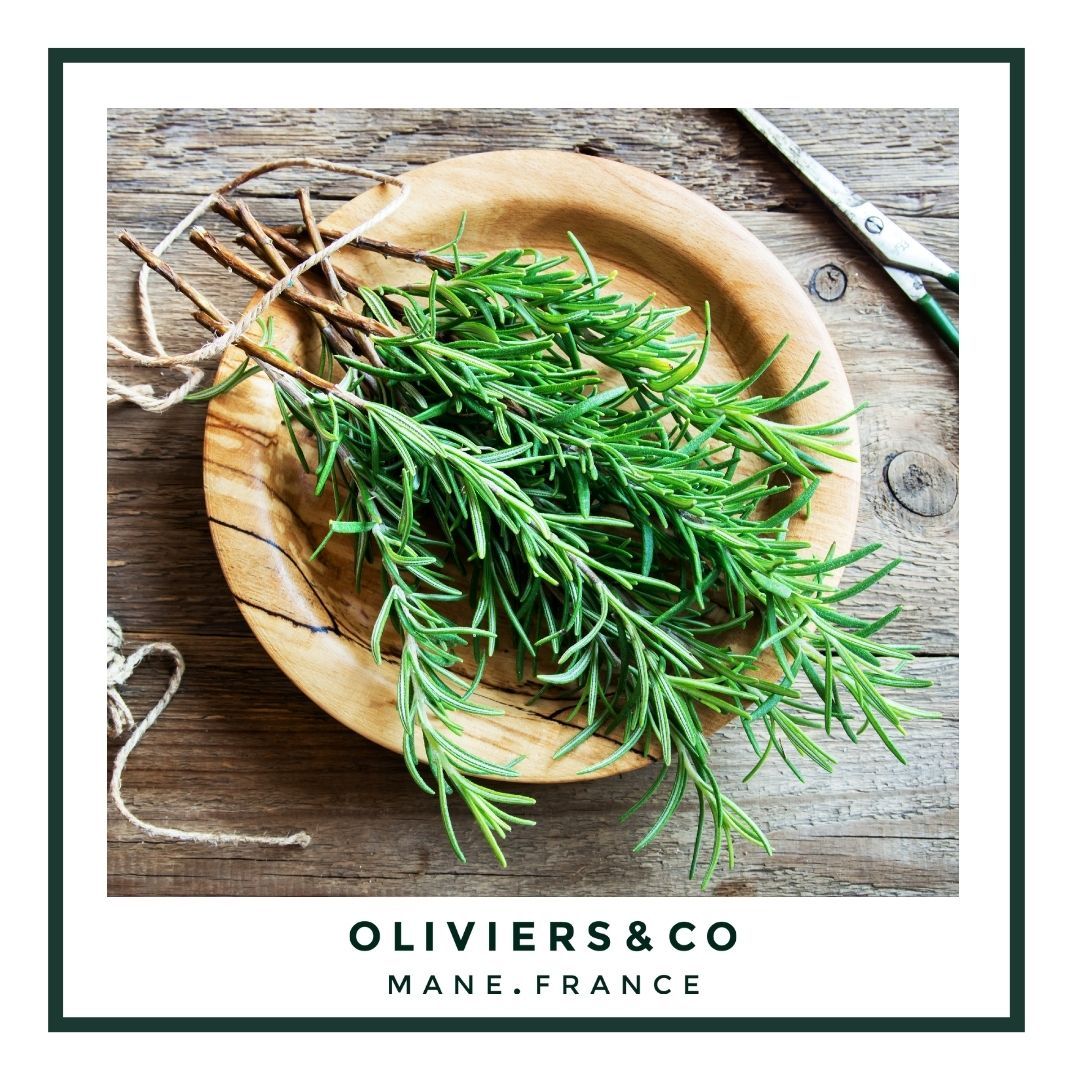 Rosmarin: historie, fordeler og egenskaper